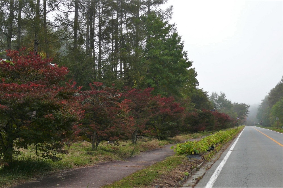 http://www.alpico.co.jp/shikinomori/news/images/P1260465.JPG