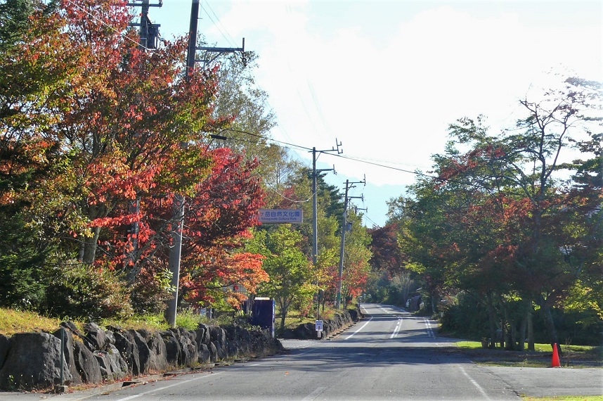 http://www.alpico.co.jp/shikinomori/news/images/P1260490.JPG
