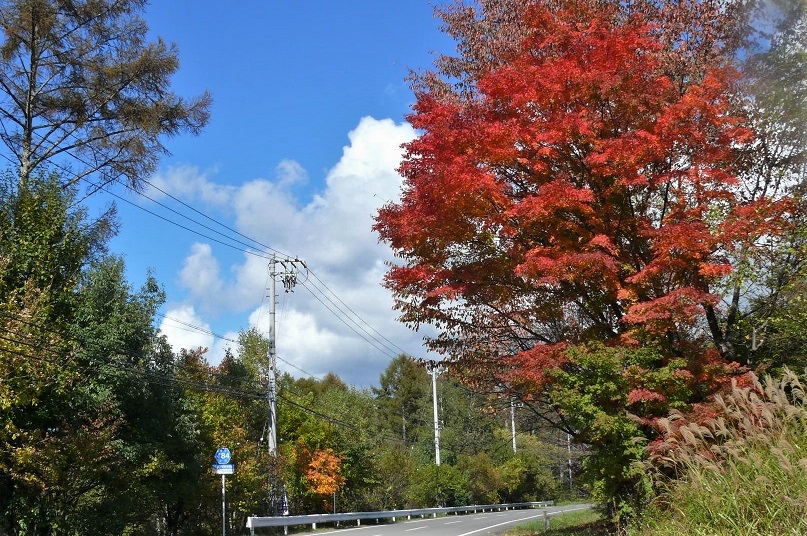 http://www.alpico.co.jp/shikinomori/news/images/P1260498.JPG