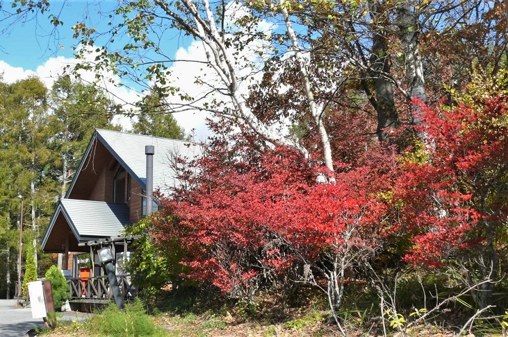 http://www.alpico.co.jp/shikinomori/news/images/P1260532.JPG