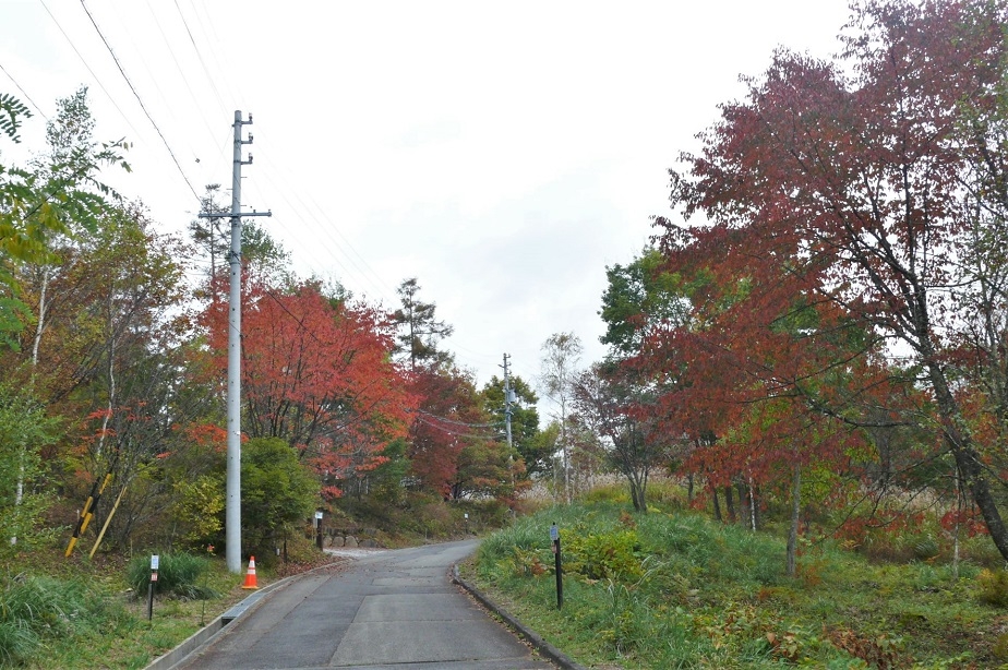 http://www.alpico.co.jp/shikinomori/news/images/P1260600.JPG