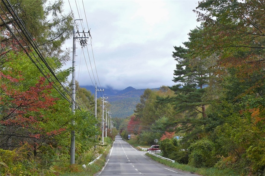 http://www.alpico.co.jp/shikinomori/news/images/P1260601.JPG