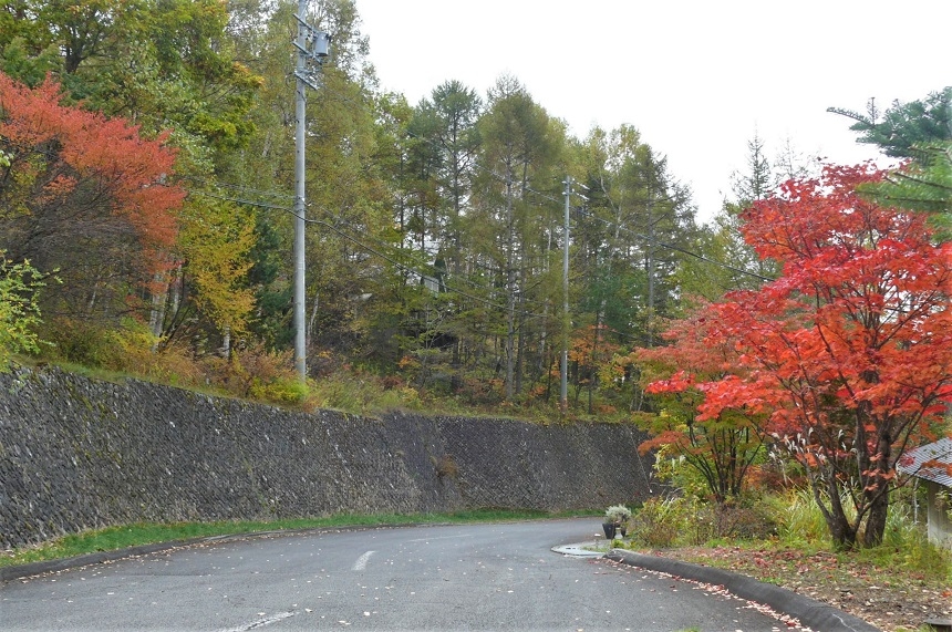 http://www.alpico.co.jp/shikinomori/news/images/P1260620.JPG
