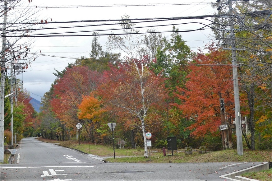http://www.alpico.co.jp/shikinomori/news/images/P1260627.JPG