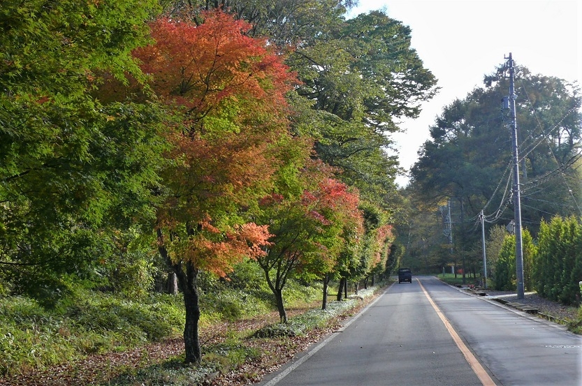 http://www.alpico.co.jp/shikinomori/news/images/P1260648.JPG