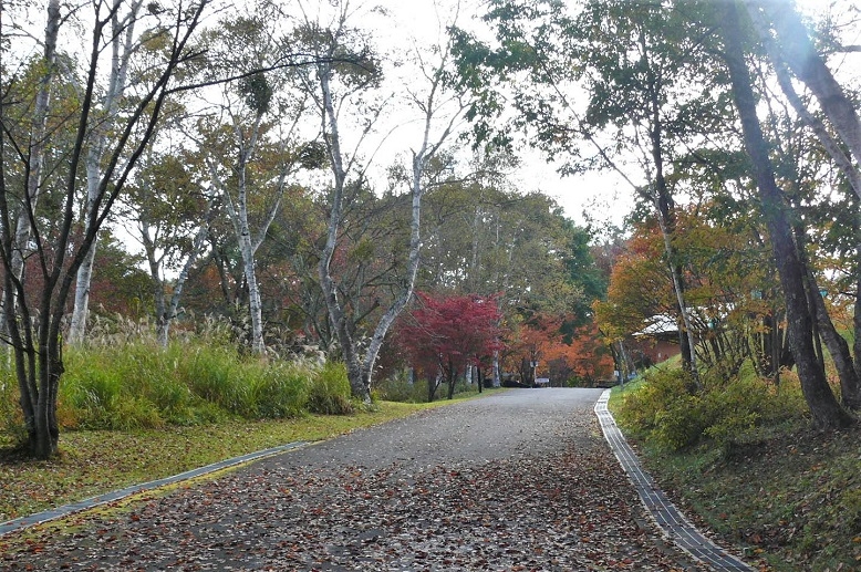http://www.alpico.co.jp/shikinomori/news/images/P1260653.JPG
