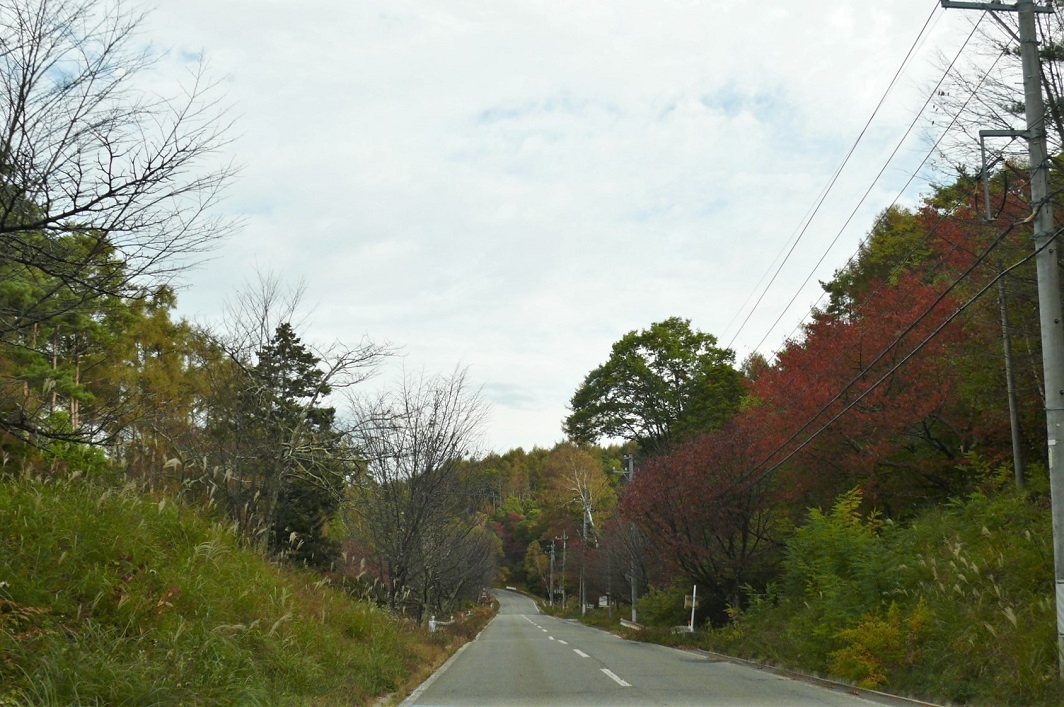 http://www.alpico.co.jp/shikinomori/news/images/P1260753.JPG