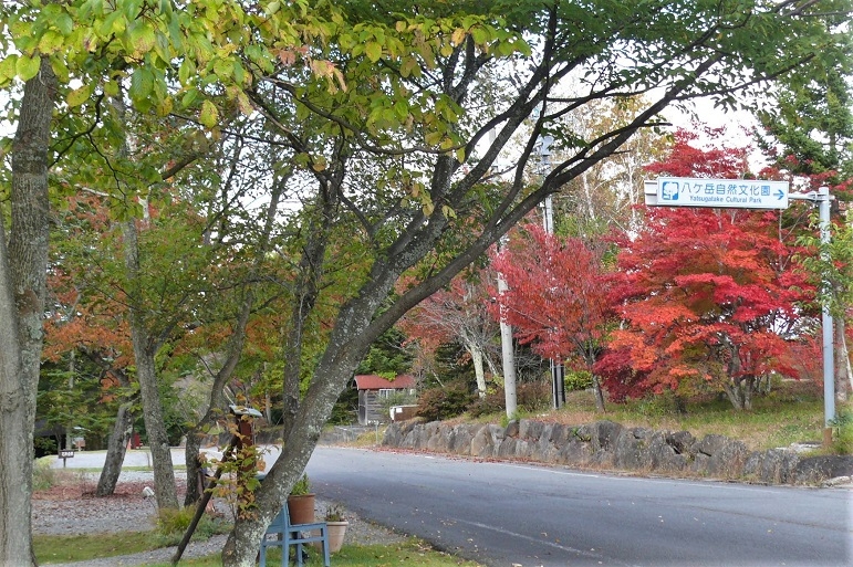 http://www.alpico.co.jp/shikinomori/news/images/P1260767.JPG