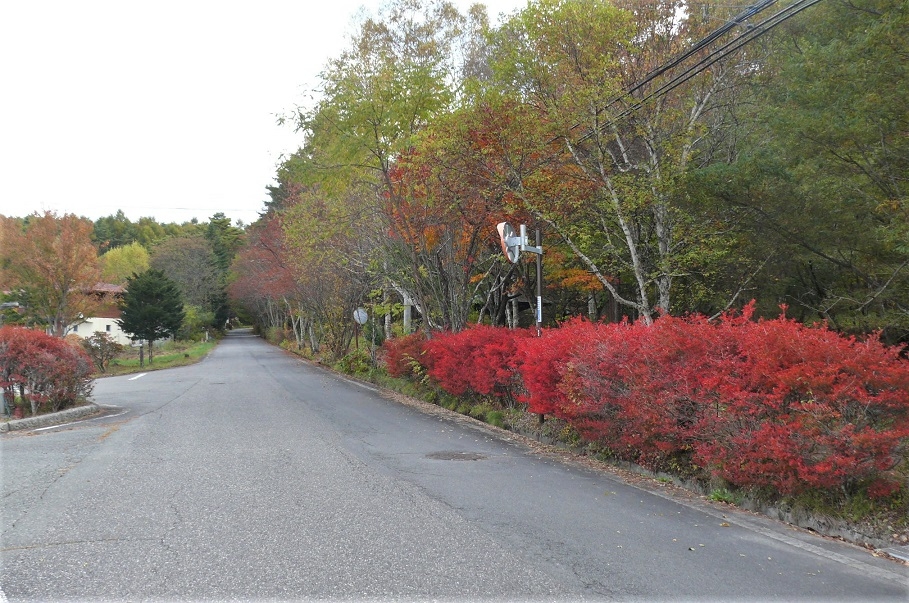 http://www.alpico.co.jp/shikinomori/news/images/P1260768.JPG
