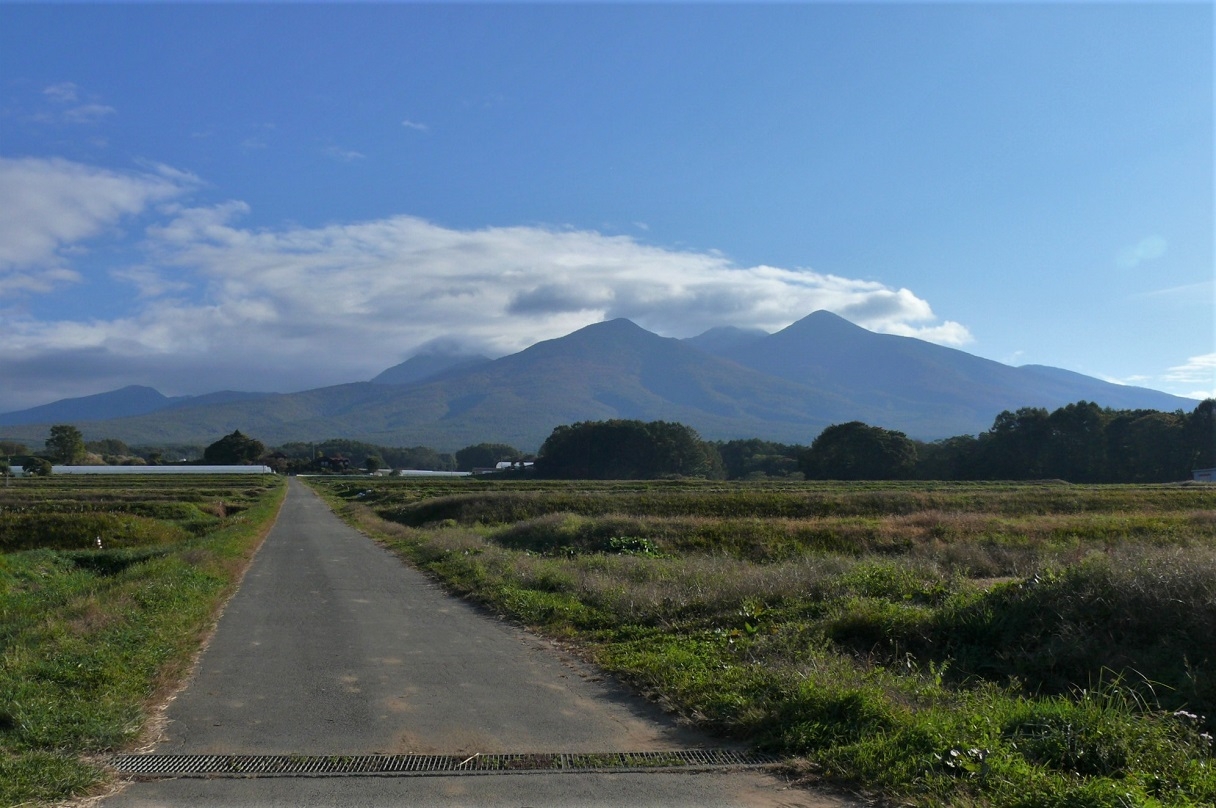 http://www.alpico.co.jp/shikinomori/news/images/P1260779.JPG