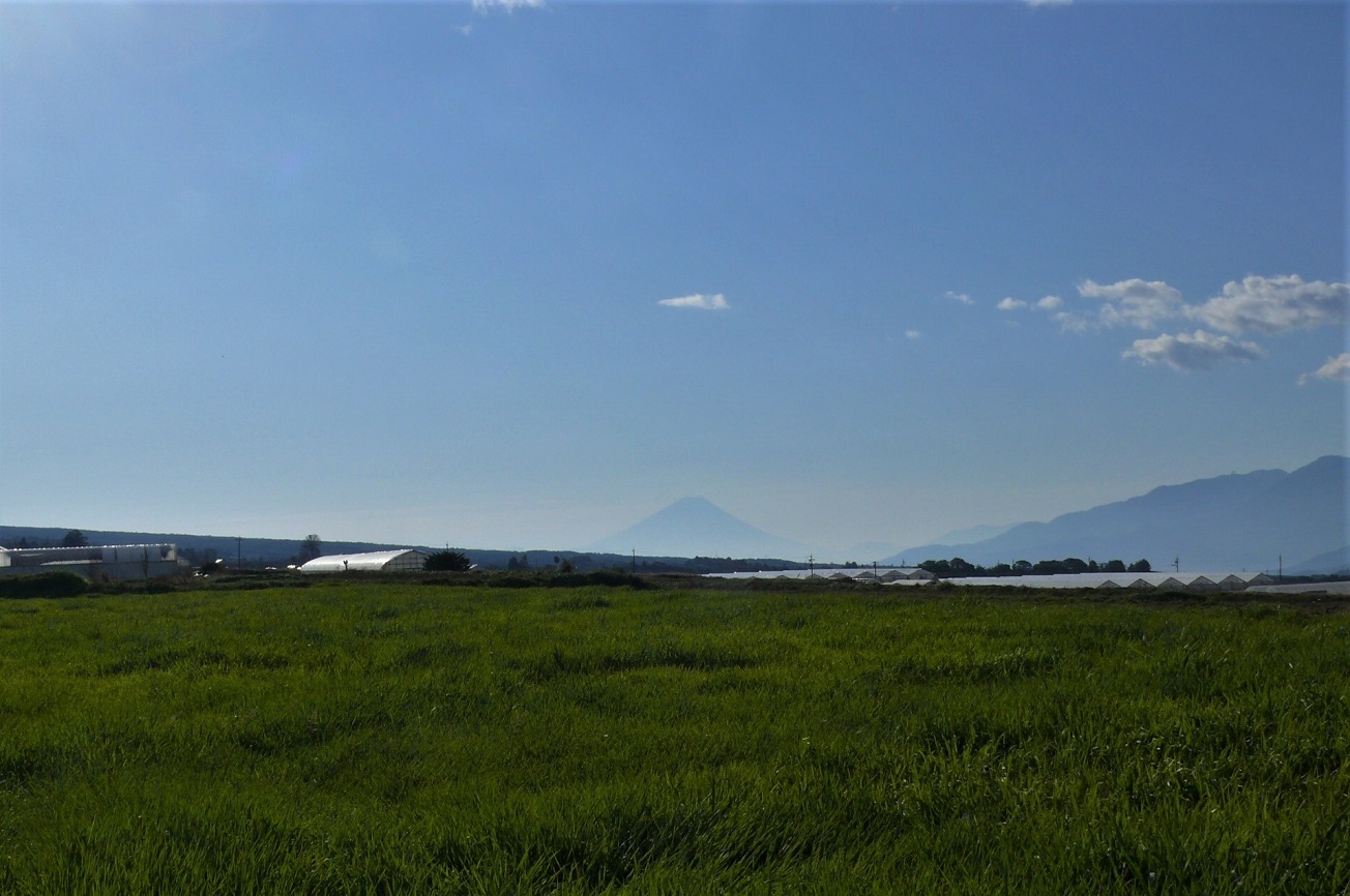 http://www.alpico.co.jp/shikinomori/news/images/P1260782.JPG