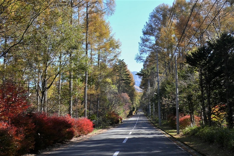 http://www.alpico.co.jp/shikinomori/news/images/P1260870.JPG