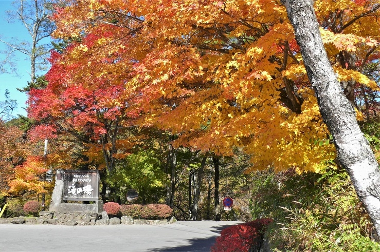 http://www.alpico.co.jp/shikinomori/news/images/P1260920.JPG