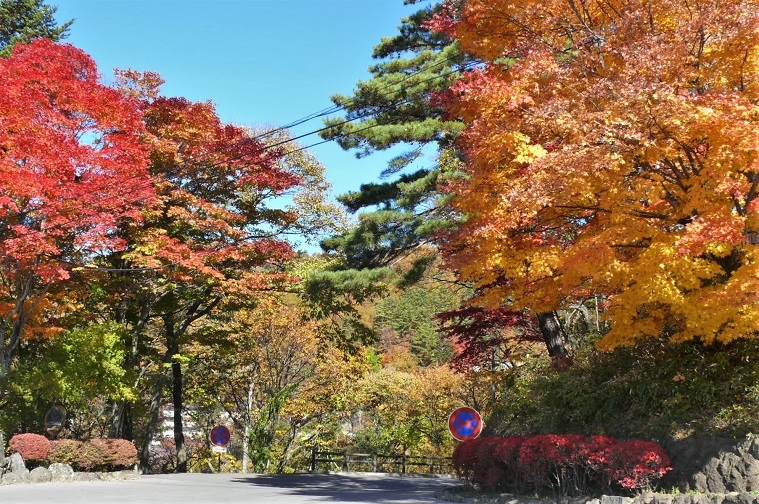 http://www.alpico.co.jp/shikinomori/news/images/P1260921.JPG