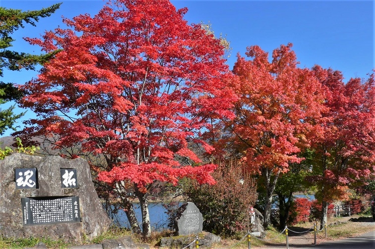 http://www.alpico.co.jp/shikinomori/news/images/P1260927.JPG