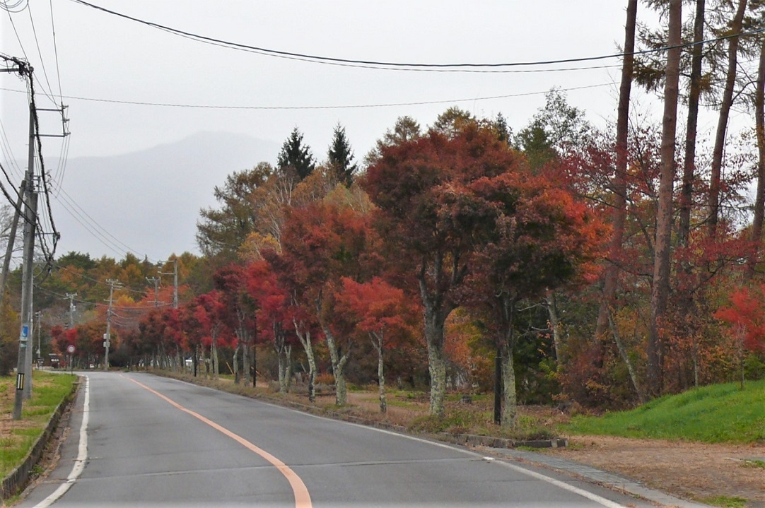 http://www.alpico.co.jp/shikinomori/news/images/P1260968.JPG