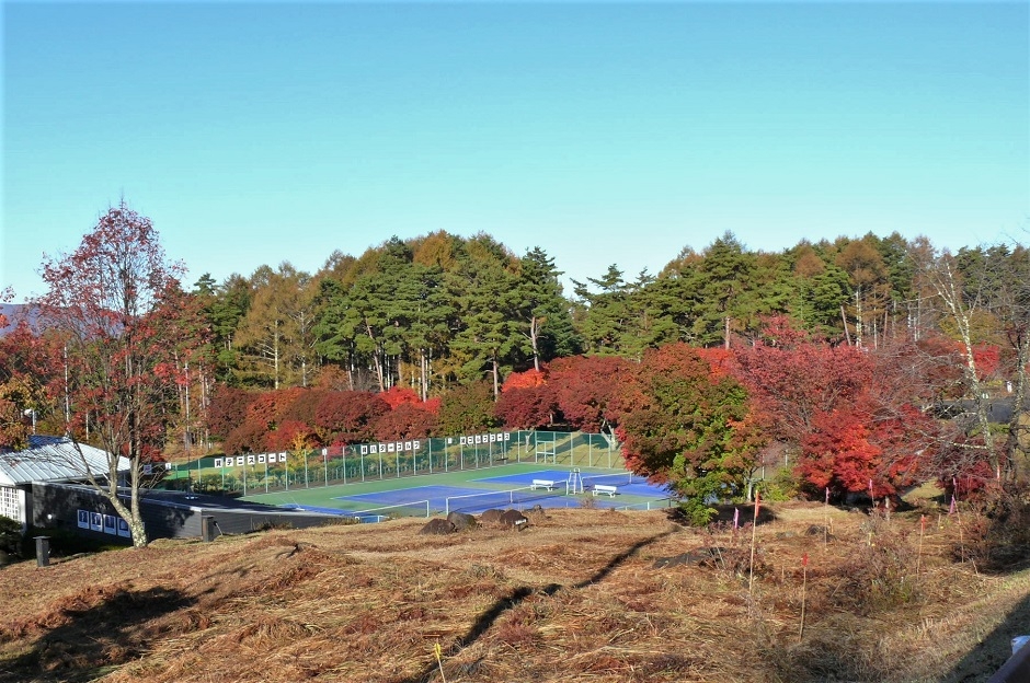 http://www.alpico.co.jp/shikinomori/news/images/P1260992.JPG