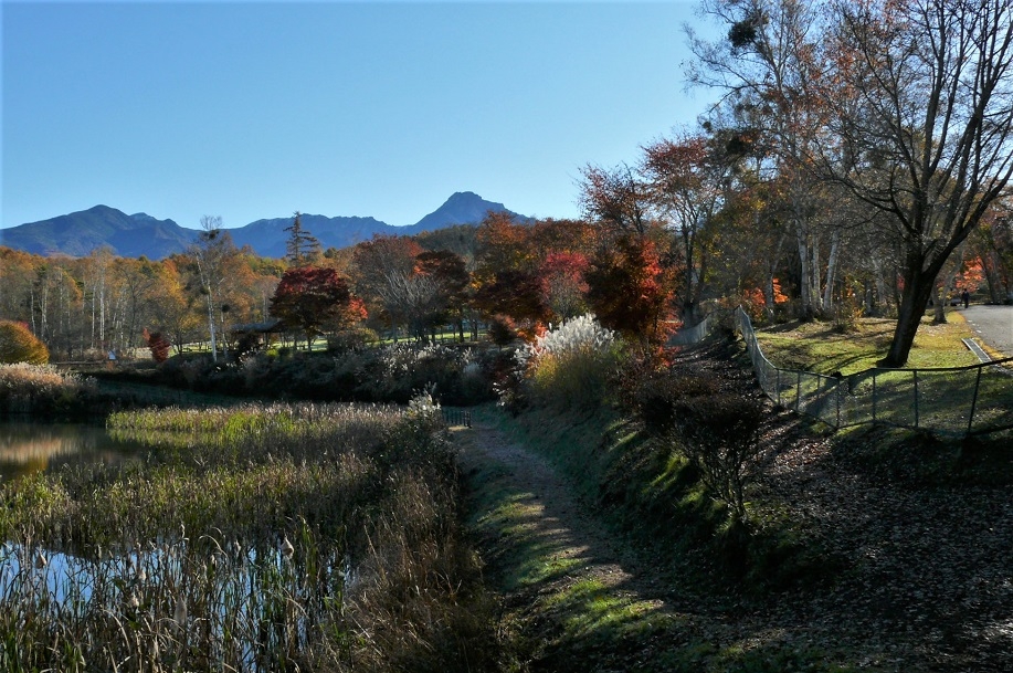 http://www.alpico.co.jp/shikinomori/news/images/P1270069.JPG