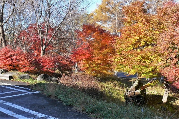 http://www.alpico.co.jp/shikinomori/news/images/P1270072.JPG
