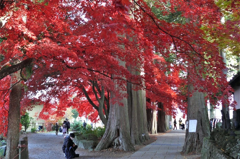 http://www.alpico.co.jp/shikinomori/news/images/P1270102.JPG