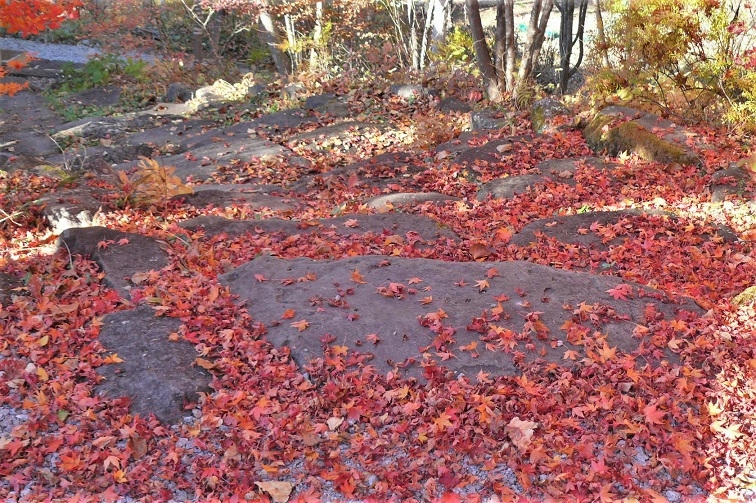 http://www.alpico.co.jp/shikinomori/news/images/P1270127.JPG
