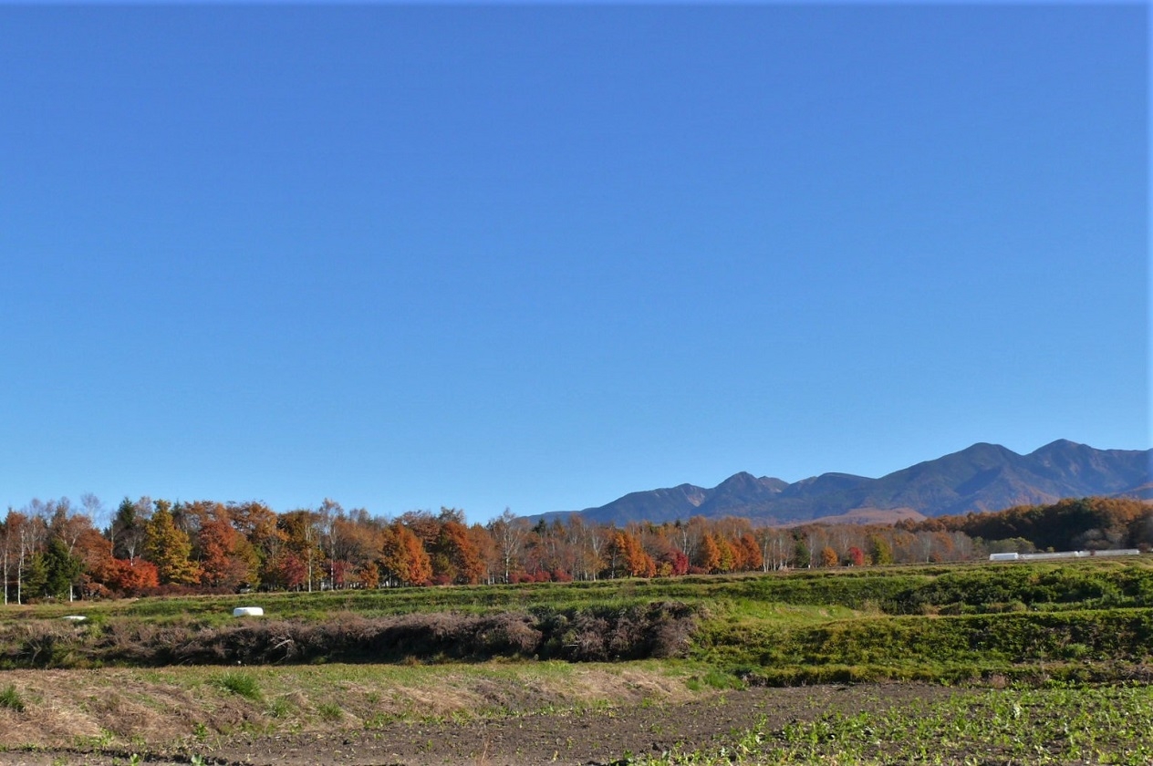 http://www.alpico.co.jp/shikinomori/news/images/P1270136.JPG
