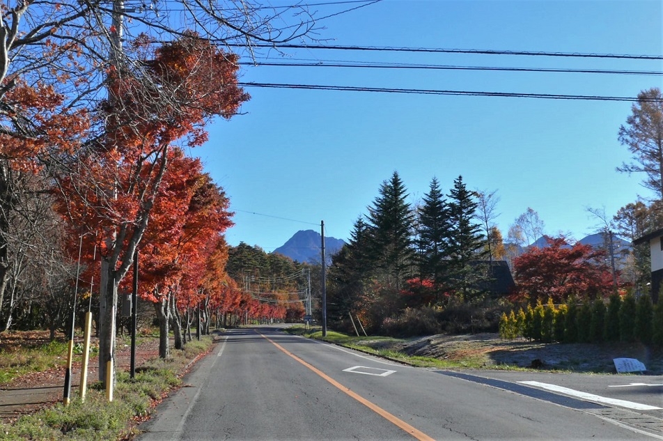 http://www.alpico.co.jp/shikinomori/news/images/P1270147.JPG