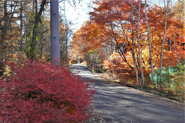 http://www.alpico.co.jp/shikinomori/news/images/P1270157.JPG