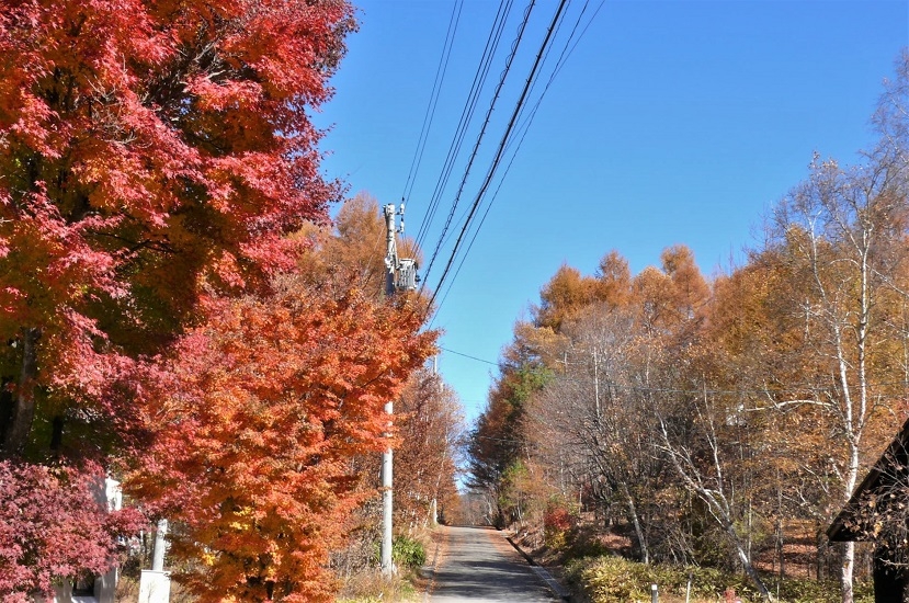 http://www.alpico.co.jp/shikinomori/news/images/P1270180.JPG