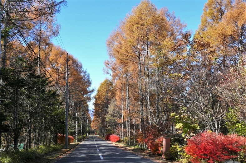 http://www.alpico.co.jp/shikinomori/news/images/P1270192.JPG