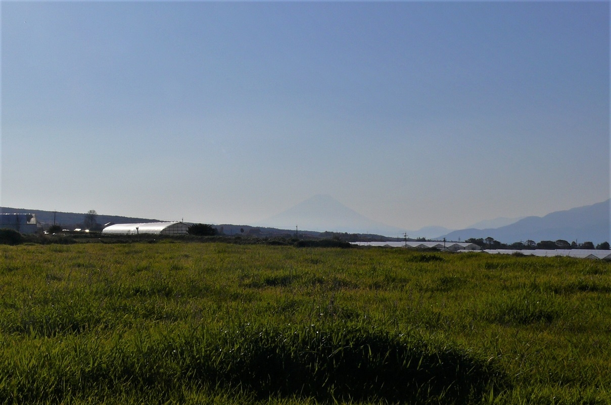 http://www.alpico.co.jp/shikinomori/news/images/P1270201.JPG