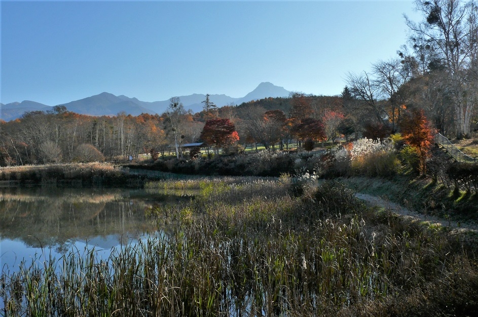 http://www.alpico.co.jp/shikinomori/news/images/P1270207.JPG