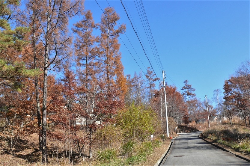 http://www.alpico.co.jp/shikinomori/news/images/P1270271.JPG