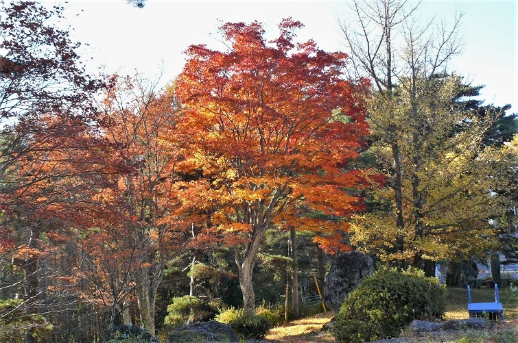 http://www.alpico.co.jp/shikinomori/news/images/P1270297.JPG