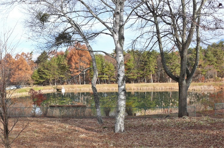 http://www.alpico.co.jp/shikinomori/news/images/P1270372.JPG
