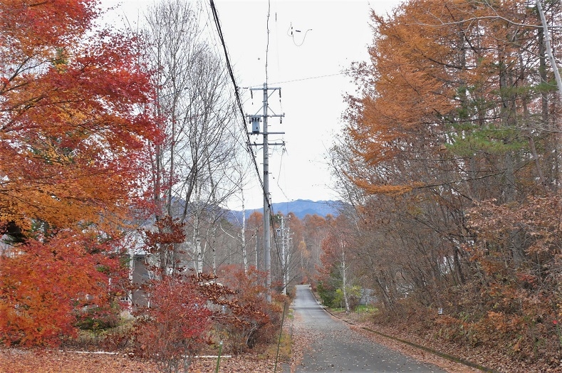 http://www.alpico.co.jp/shikinomori/news/images/P1270386.JPG