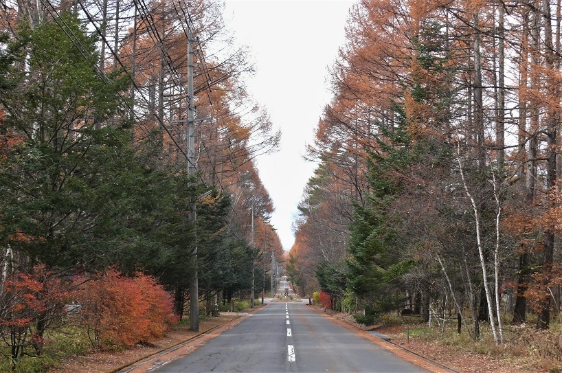 http://www.alpico.co.jp/shikinomori/news/images/P1270417.JPG