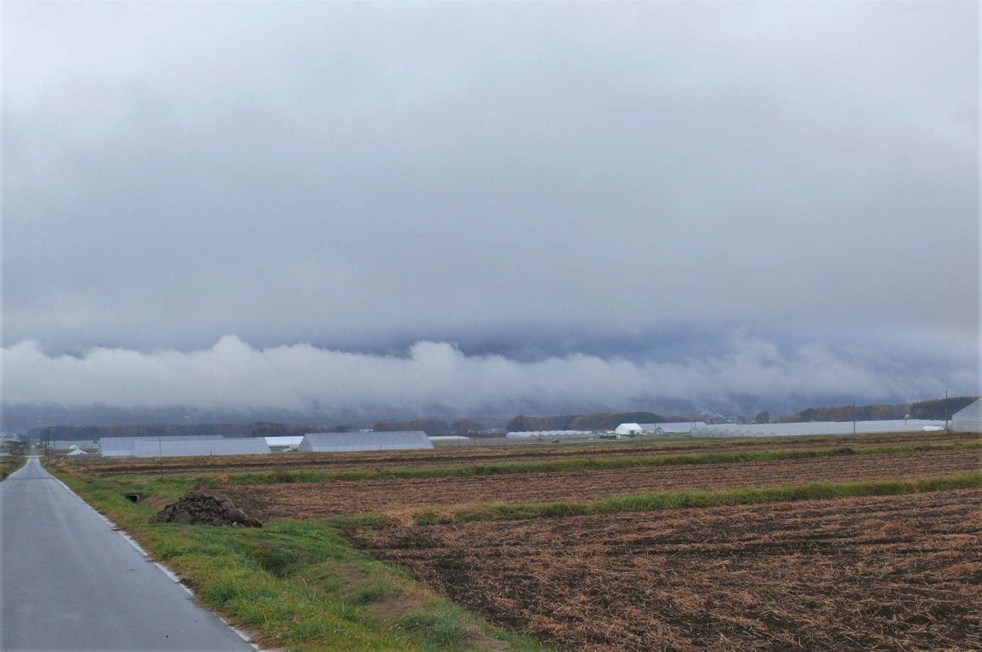 http://www.alpico.co.jp/shikinomori/news/images/P1270434.JPG