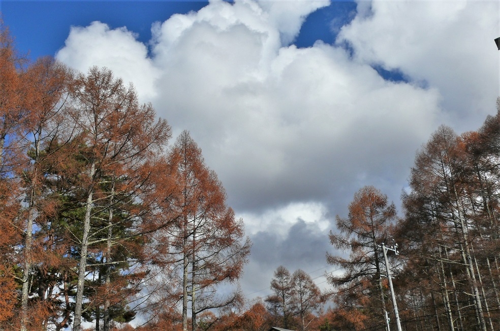 http://www.alpico.co.jp/shikinomori/news/images/P1270471.JPG