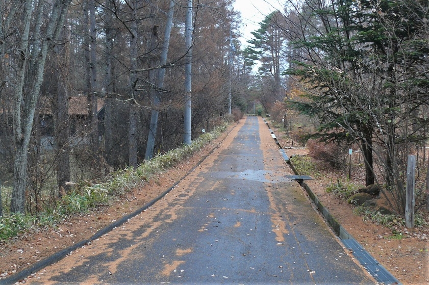 http://www.alpico.co.jp/shikinomori/news/images/P1270581.JPG