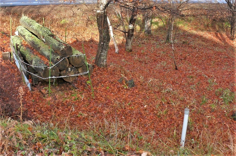 http://www.alpico.co.jp/shikinomori/news/images/P1270648.JPG