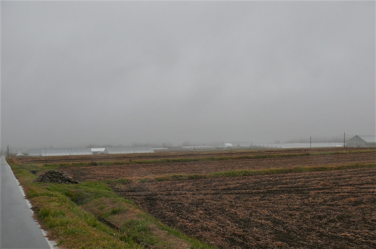 http://www.alpico.co.jp/shikinomori/news/images/P1270825.JPG