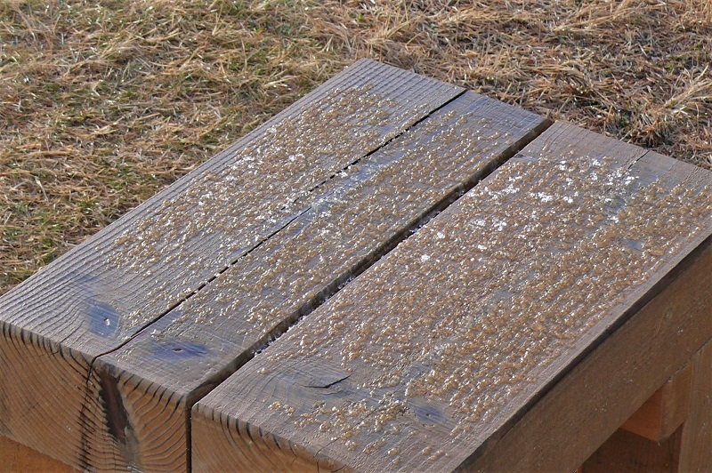 http://www.alpico.co.jp/shikinomori/news/images/P1280017.JPG