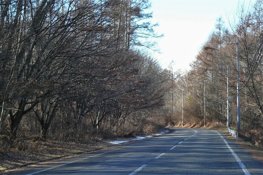 http://www.alpico.co.jp/shikinomori/news/images/P1280057.JPG