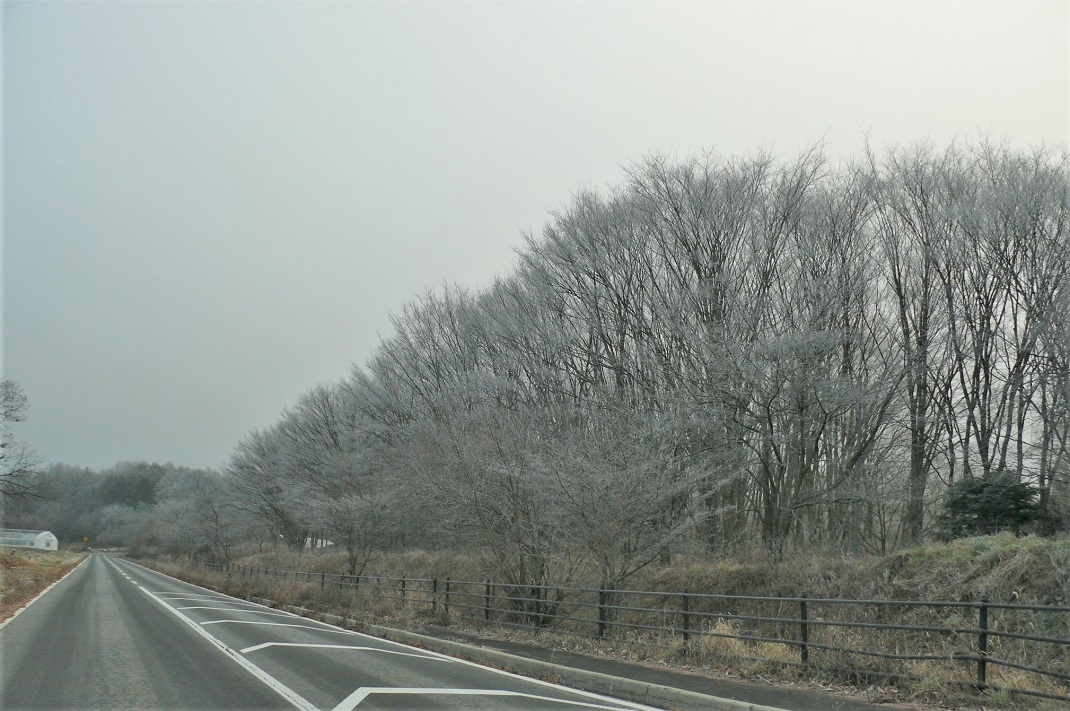 http://www.alpico.co.jp/shikinomori/news/images/P1280157.JPG