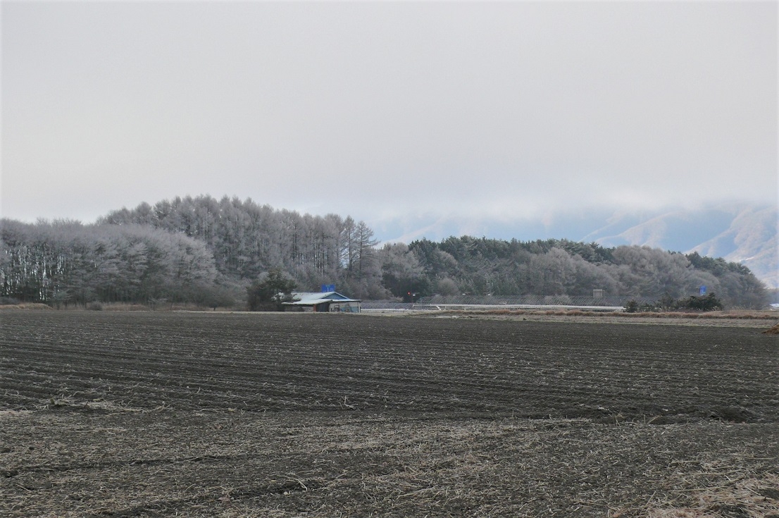 http://www.alpico.co.jp/shikinomori/news/images/P1280159.JPG