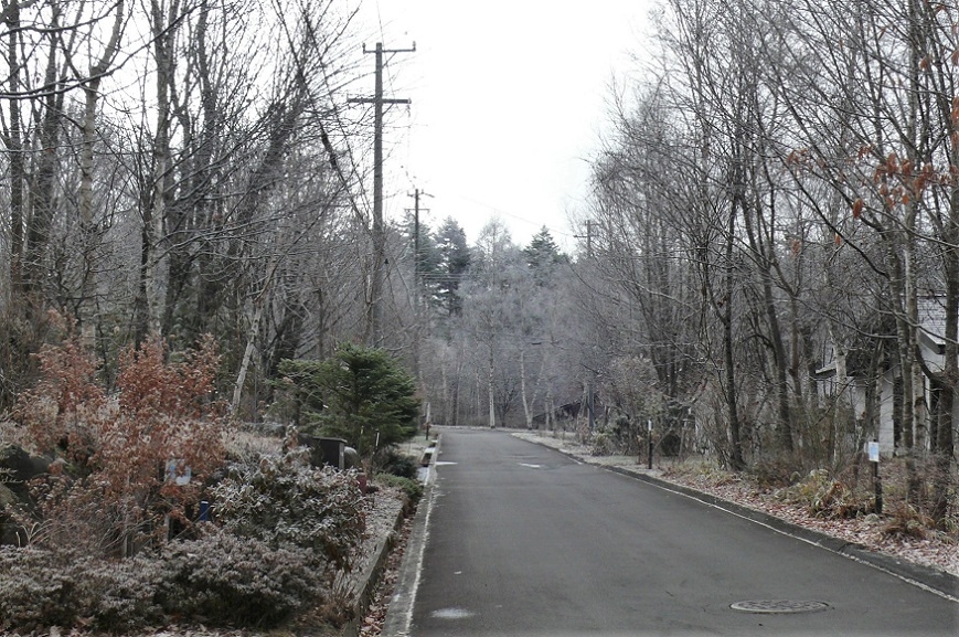 http://www.alpico.co.jp/shikinomori/news/images/P1280190.JPG
