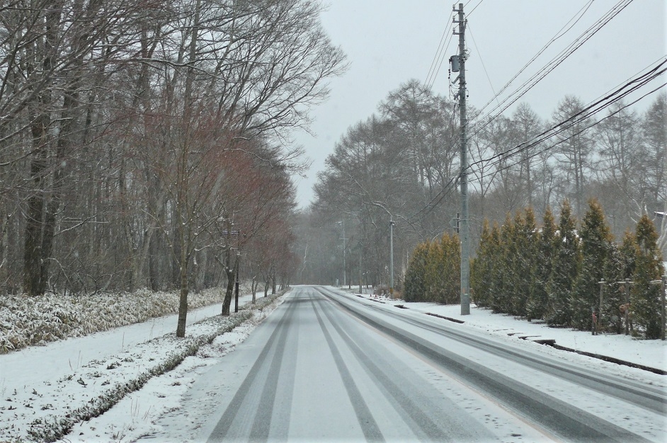 http://www.alpico.co.jp/shikinomori/news/images/P1280234.JPG