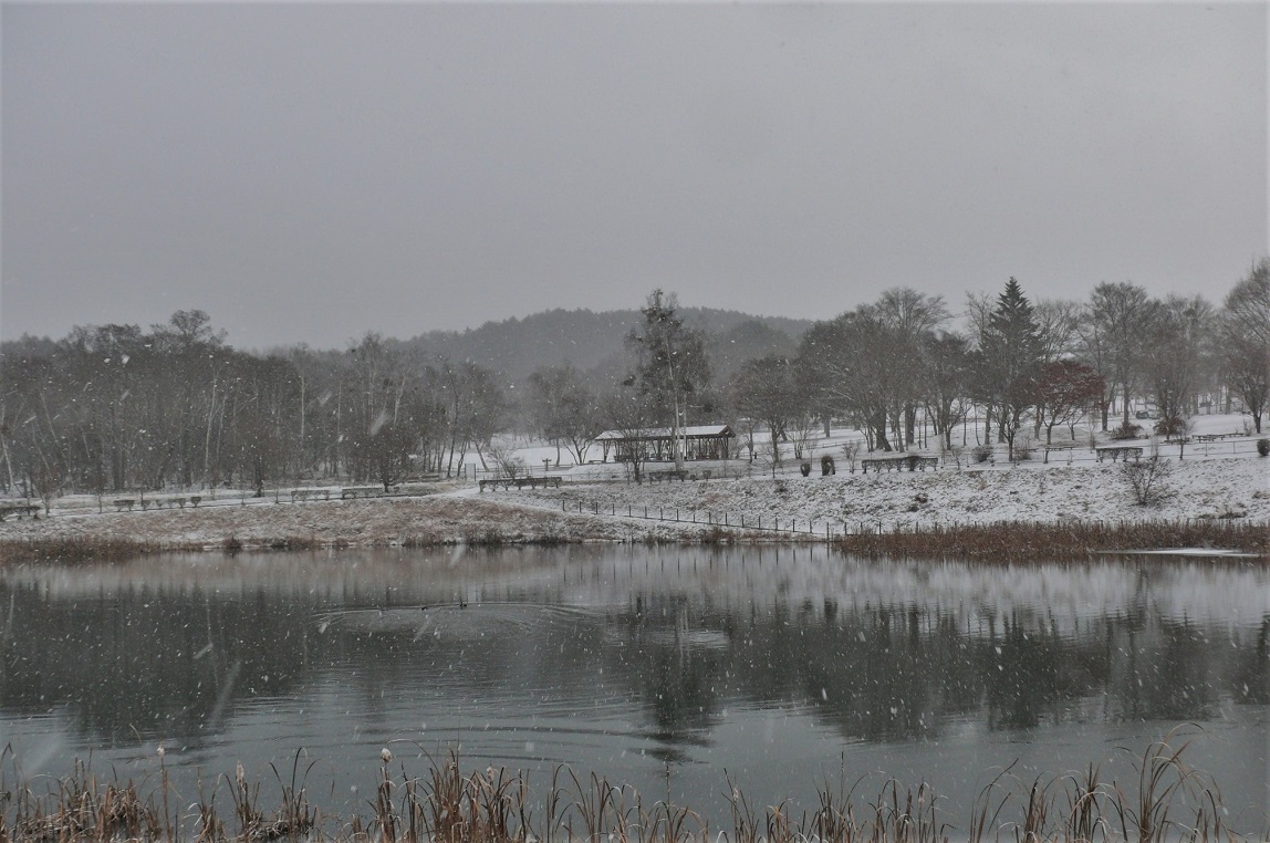 http://www.alpico.co.jp/shikinomori/news/images/P1280235.JPG