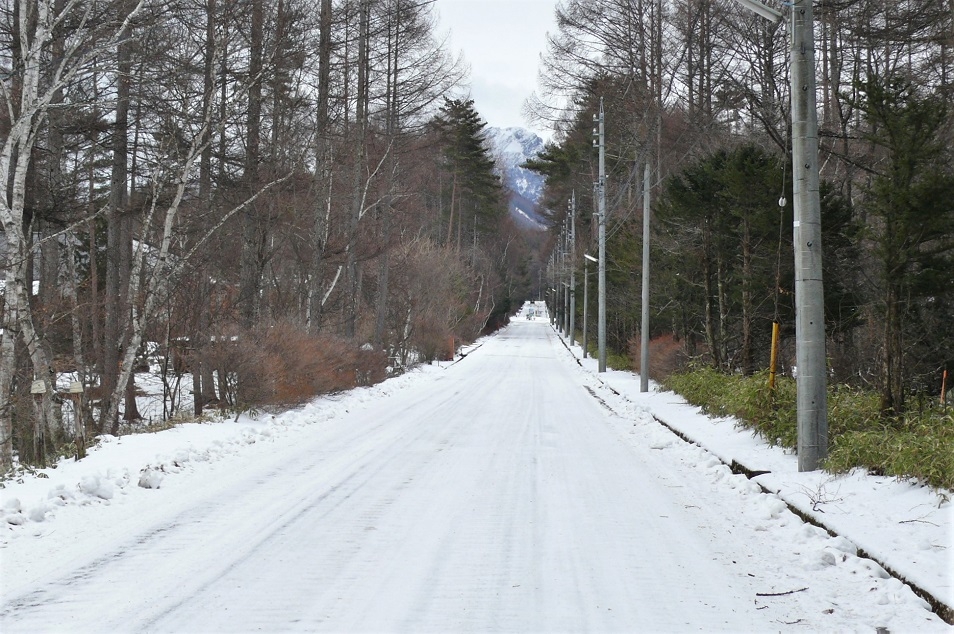 http://www.alpico.co.jp/shikinomori/news/images/P1280334.JPG